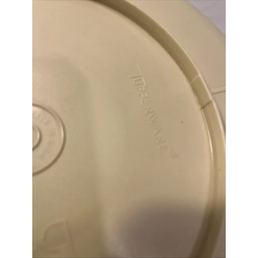 Vintage TUPPERWARE 5 compartment Serving Tray with Lid Tan